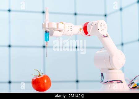 Bras robotisé tenant la tomate Banque D'Images