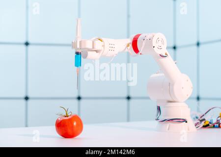 Bras robotisé tenant la tomate Banque D'Images