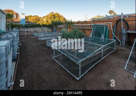 Lits surélevés clos et compost dans une cour Banque D'Images
