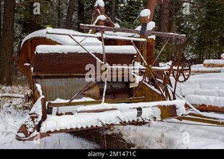 Un vieux McCormick-Deering No.63 Harvester Thresher dans la neige, au bord des bois, à l'extérieur de Bonners Ferry, Idaho. Banque D'Images