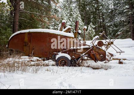 Un vieux McCormick-Deering No.63 Harvester Thresher dans la neige, au bord des bois, à l'extérieur de Bonners Ferry, Idaho. Banque D'Images