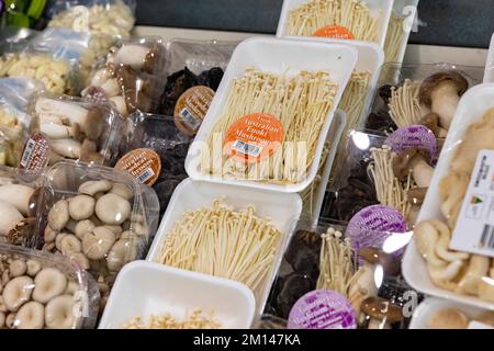 Champignons enoki australiens emballés et emballés pour la vente dans un supermarché de Sydney, Nouvelle-Galles du Sud, Australie Banque D'Images