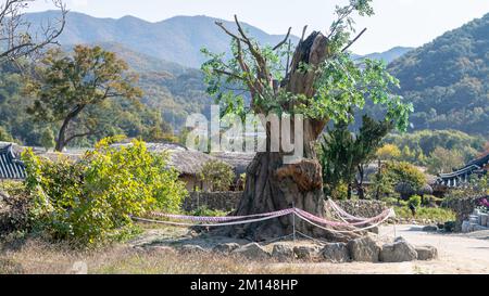 Authentique village populaire coréen avec des maisons traditionnelles au toit de chaume situé dans une région montagneuse isolée et paisible. Banque D'Images