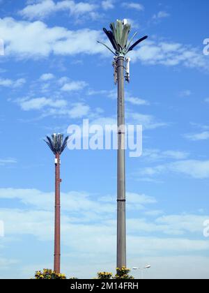 Tour de téléphone cellulaire en Egypte ou antenne de téléphone cellulaire déguisée sur le faux palmier placé à intervalles appropriés le long des autoroutes et des chemins de communiquer v Banque D'Images