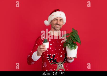 Pot de conservation de Santa avec plante. Chandail de Noël et chapeau de père Noël sur fond rouge. Banque D'Images