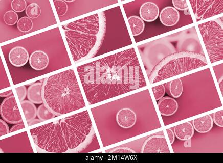 Un collage de nombreuses photos avec des oranges juteuses. Ensemble d'images avec des fruits sur des arrière-plans de différentes couleurs image tond en Viva Magenta, couleur de l'année 2023 Banque D'Images
