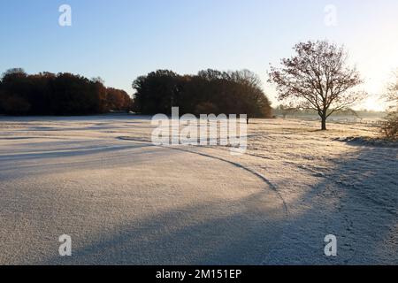 Epsom Downs Surrey, Royaume-Uni. 10th décembre 2022. Avec des températures à moins 4 degrés celsius au lever du soleil, Epsom Downs était aujourd'hui très gelé. Crédit : Julia Gavin/Alamy Live News Banque D'Images