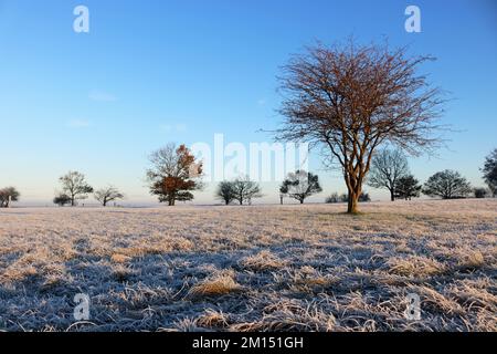 Epsom Downs Surrey, Royaume-Uni. 10th décembre 2022. Avec des températures à moins 4 degrés celsius au lever du soleil, Epsom Downs était aujourd'hui très gelé. Crédit : Julia Gavin/Alamy Live News Banque D'Images