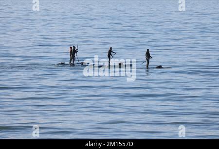 Brighton, Royaume-Uni. 10th décembre 2022. Paddle Boarders paddle sur les eaux calmes sous un beau soleil ce matin au large de la plage de Brighton. Credit: James Boardman / Alamy Live News Banque D'Images