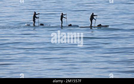 Brighton, Royaume-Uni. 10th décembre 2022. Paddle Boarders paddle sur les eaux calmes sous un beau soleil ce matin au large de la plage de Brighton. Credit: James Boardman / Alamy Live News Banque D'Images