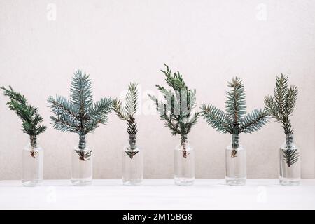 Un Noël écologique durable. Branches de sapins de conifères en bouteilles, décorations de Noël à coloriable. Banque D'Images