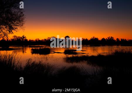 Marais Pond Dawn, réserve d'animaux de Gray Lodge, Californie Banque D'Images