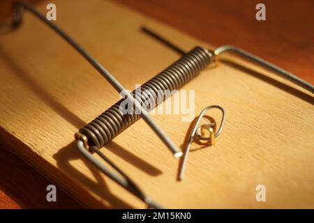 nouvelle vue rapprochée de mousetrap vide. Banque D'Images