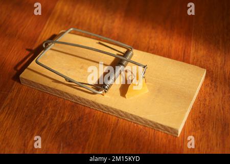 nouveau mousetrap au fromage en gros plan. Banque D'Images