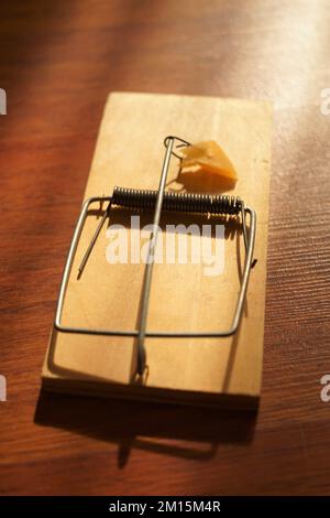 nouveau mousetrap avec vue rapprochée sur le fromage. Banque D'Images