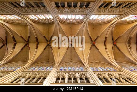 Cathédrale Sainte Marie de Bayonne ou cathédrale notre-Dame de Bayonne. Cathédrale Sainte-Marie de Bayonne ou Cathédrale notre-Dame de Bayonne Banque D'Images