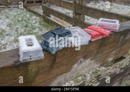 Les crayons de couleur utilisés et maintenant passés pour les moutons indiquent les brebis qui ont été avec le trup. Le boîtier en plastique s'adapte au faisceau du vérin. Banque D'Images