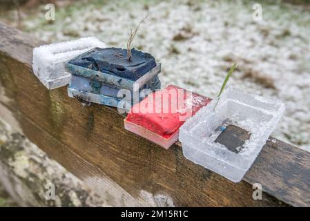 Les crayons de couleur utilisés et maintenant passés pour les moutons indiquent les brebis qui ont été avec le trup. Le boîtier en plastique s'adapte au faisceau du vérin. Banque D'Images