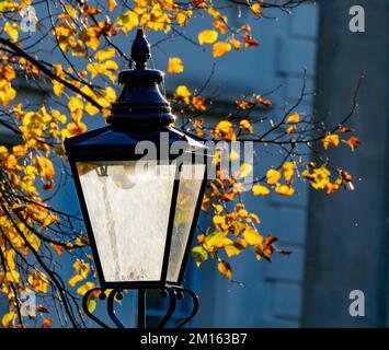Lampe de rue et feuilles d'automne à Clifton village Bristol Royaume-Uni Banque D'Images