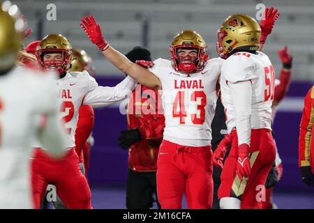 Octobre 31 2022, London Ontario Canada. Laval Rouge et ou battez les Mustangs de l'Ouest 27-20 pour gagner le Mitchell Bowl. Charles-Alexandre Jacques(43). Luc Banque D'Images