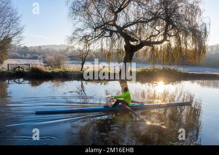 Un seul bateau à mouettes du Guildford Rowing Club qui sculpte sur la rivière Wey lors d'une matinée hivernale froide, Surrey, Angleterre, Royaume-Uni. 10th décembre 2022 Banque D'Images