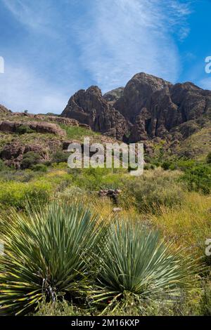 Photographie de granit, Dripping Springs au monument national d'Organ Mountains-Desert Peaks lors d'une belle journée d'automne. Banque D'Images