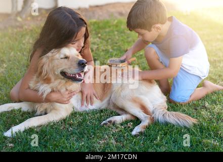 Offrez-vous un moment de détente pour leur cooque. Photo d'un petit garçon et de sa sœur se brossant le manteau de leur chien dans l'arrière-cour à la maison. Banque D'Images