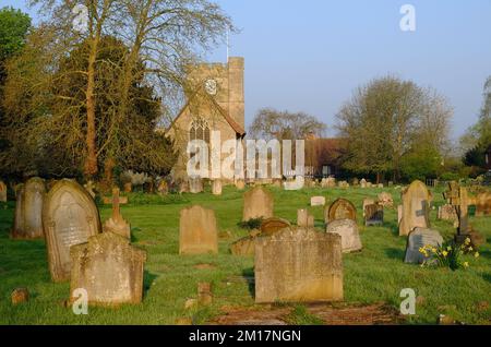 Headcorn : église Saint-Pierre et St-Paul avec cimetière et jonquilles or brillant peu après le lever du soleil à Headcorn, Kent, Angleterre Banque D'Images