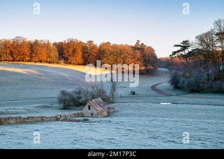 Ancienne grange et forêt dans le gel de la piste de marche sur le domaine de Hathrop au lever du soleil. Cotswolds, Gloucestershire, Angleterre Banque D'Images