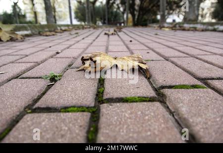 Détail de plancher piétonnier décoré dans la ville Banque D'Images