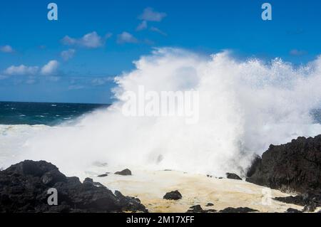 Grandes vagues écrasant sur les rochers de lave, île de Pico, Açores, Portugal, Europe Banque D'Images
