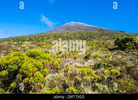 Ponta do Pico la plus haute montagne du Portugal, île de Pico, Açores, Portugal, Europe Banque D'Images