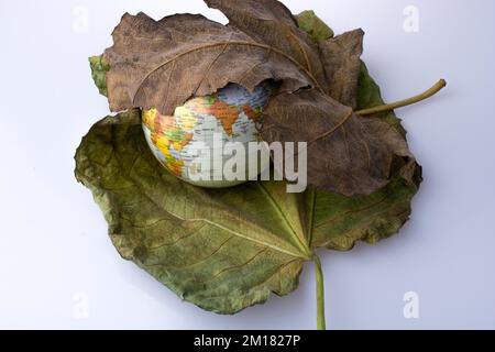 Petit modèle globe placé entre deux grandes feuilles d'automne Banque D'Images