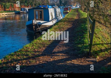 Hivernent le long du canal de Lancaster près de Lorton dans le Lancashire Banque D'Images