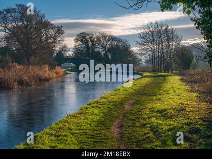 Hivernent le long du canal de Lancaster près de Lorton dans le Lancashire Banque D'Images