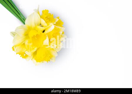 Bouquet de jonquilles jaunes, narcissus isolés sur fond blanc avec espace de copie. Maquette, modèle de vacances, anniversaire, fête des mères sur fond jaune Banque D'Images