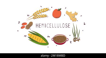 Aliments contenant de l'hémicellulose. Groupes de produits sains contenant des vitamines et des minéraux. Ensemble de fruits, légumes, viandes, poissons et produits laitiers Illustration de Vecteur