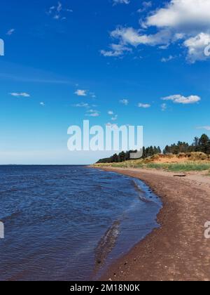 Une petite plage en bordure de trottoir avec le Tide commençant à sortir à la réserve naturelle nationale de Tentsmuir, avec des dunes et la forêt derrière la plage. Banque D'Images