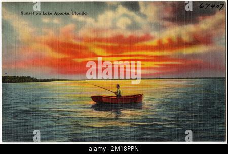 Coucher de soleil sur le lac Apopka, Floride, lacs et étangs, Collection Tichnor Brothers, cartes postales des États-Unis Banque D'Images