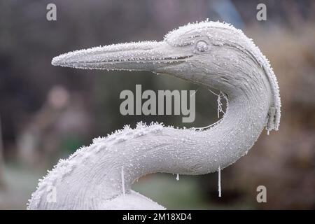 Eton, Windsor, Berkshire, Royaume-Uni. 11th décembre 2022. Icicles sur un héron en plastique. Après une autre nuit de températures glaciales, Eton a été transformé en un pays merveilleux d'hiver encore aujourd'hui comme toile d'araignée et les plantes ont été congelées avec du givre. Le givre a une apparence distinctive car il forme des cheveux comme ou des structures de plumes comme il se développe. Un avertissement météo jaune pour la glace et le brouillard reste en place aujourd'hui. De la neige est prévue dans le Berkshire pour ce soir. Crédit : Maureen McLean/Alay Live News Banque D'Images