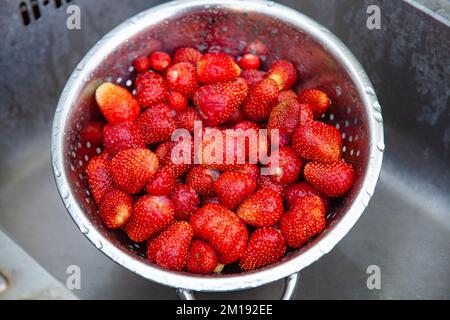 Les fraises brillantes fraîchement cueillies sont lavées dans une passoire en métal dans un ancien évier. Banque D'Images