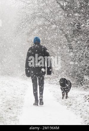 Kidderminster, Royaume-Uni. 11 décembre 2022. Météo britannique : la neige frappe les Midlands et les randonneurs pour une promenade le dimanche sont confrontés à une forte tempête de neige. Un propriétaire de chien, enveloppé dans un manteau chaud, un chapeau et des gants, brave les températures inférieures à zéro en promenant son chien, Max - une croix de collie de frontière la plus obéissante, sur le chemin de halage le long d'un canal gelé du Worcestershire. Crédit : Lee Hudson/Alamy Live News Banque D'Images
