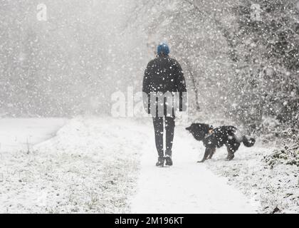 Kidderminster, Royaume-Uni. 11th décembre 2022. Météo au Royaume-Uni : la neige frappe les Midlands ! Les marcheurs qui se promènent le dimanche sont accueillis par une tempête de neige. Un maître de chien, enveloppé dans un manteau chaud, un chapeau et des gants, brave le froid en marchant son chien de compagnie, Max - une frontière collie croix, sur le chemin de halage le long d'un canal gelé Worcestershire. Crédit : Lee Hudson/Alay Live News Banque D'Images