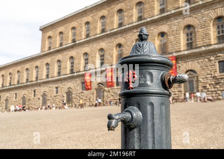 Fontaine florentine en fonte avec nénuphar rouge florentin, symbole de la ville, devant le palais Pitti, sur la place Pitti, Florence, Toscane, Italie Banque D'Images