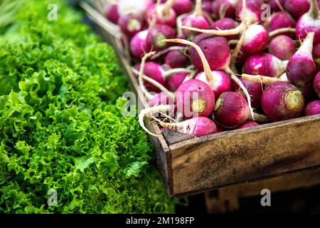 Bunchs frais de radis rouges et légumes biologiques exposés sur un étal de marché de rue traditionnel dans la ville authentique d'Ozurgeti, en Géorgie. Banque D'Images