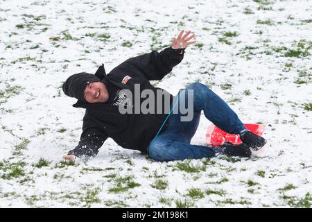 Chippenham, Wiltshire, Royaume-Uni, 11th décembre 2022. Alors que les habitants de Chippenham se réveillent devant leur première neige de l'année, un homme est photographié dans un parc local de Chippenham alors qu'il tombe d'un traîneau lorsqu'il descend une colline. Credit: Lynchpics/Alamy Live News Banque D'Images