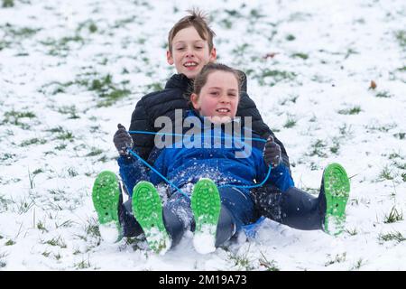 Chippenham, Wiltshire, Royaume-Uni, 11th décembre 2022. Alors que les habitants de Chippenham se réveillent devant leur première neige de l'année, deux enfants sont photographiés dans un parc local de Chippenham alors qu'ils descendent une colline sur un traîneau. Credit: Lynchpics/Alamy Live News. Banque D'Images