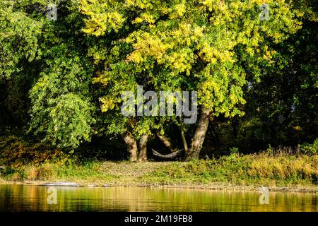 Automne sur la rivière Susquehanna, vallée de la rivière Susquehanna, près de Dauphin, Pennsylvanie, États-Unis, Région du centre de l'Atlantique. Banque D'Images