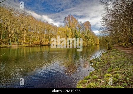 Le chemin le long du lac de pêche et de la petite île à Moss Valley, Brynteg, Wrexham, au nord du pays de Galles pendant le printemps. Banque D'Images