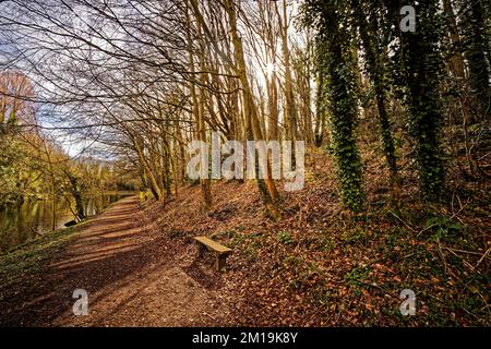 Le chemin le long du lac de pêche à Moss Valley, Brynteg, Wrexham, au nord du pays de Galles pendant le printemps. Banque D'Images